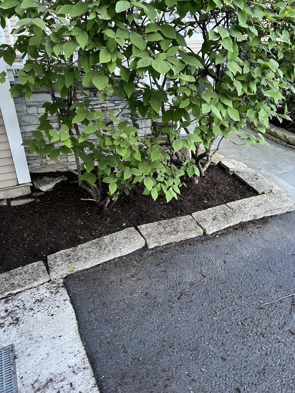 Fresh mulch near stone edging