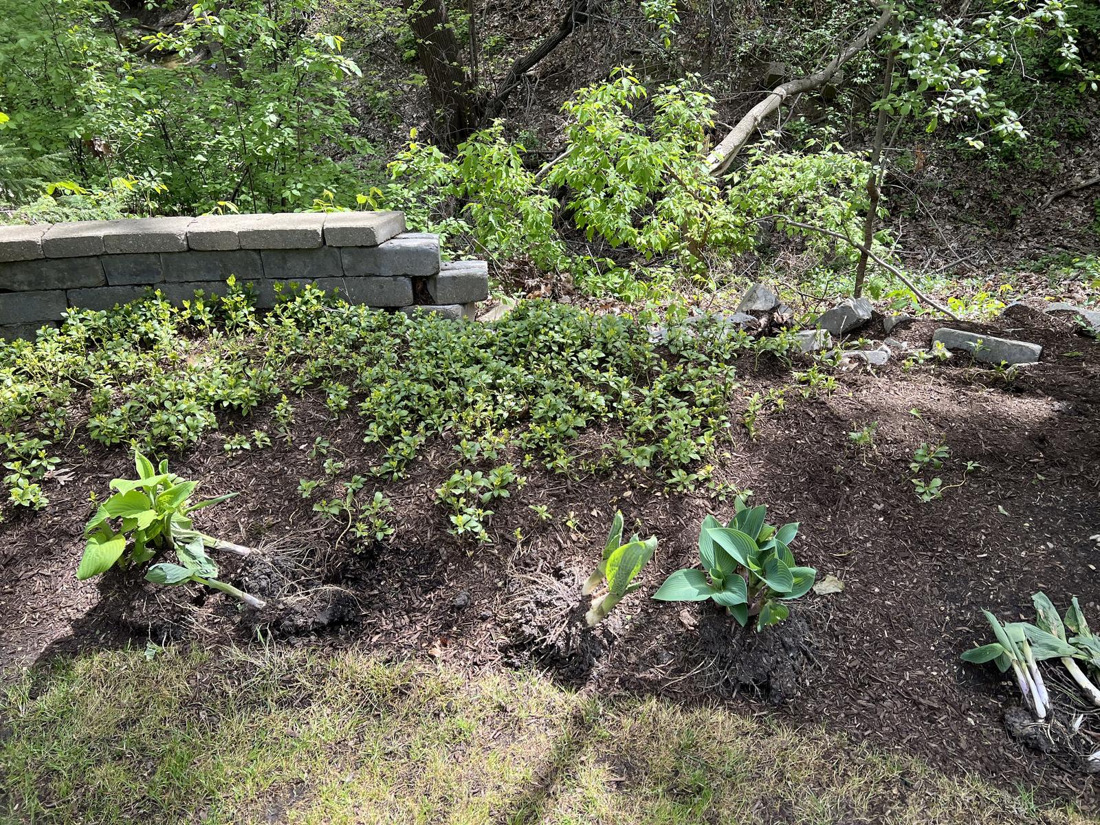 Old failing wall before removal