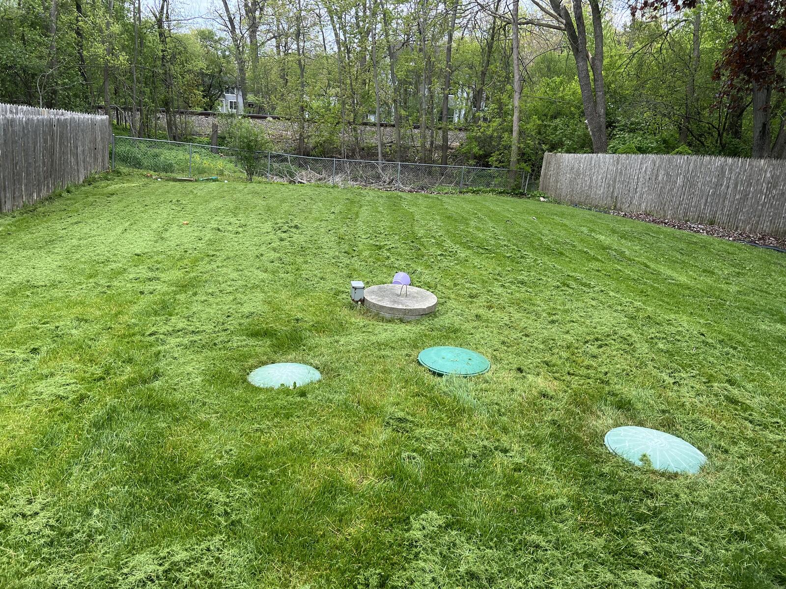 Clean cut backyard lawn