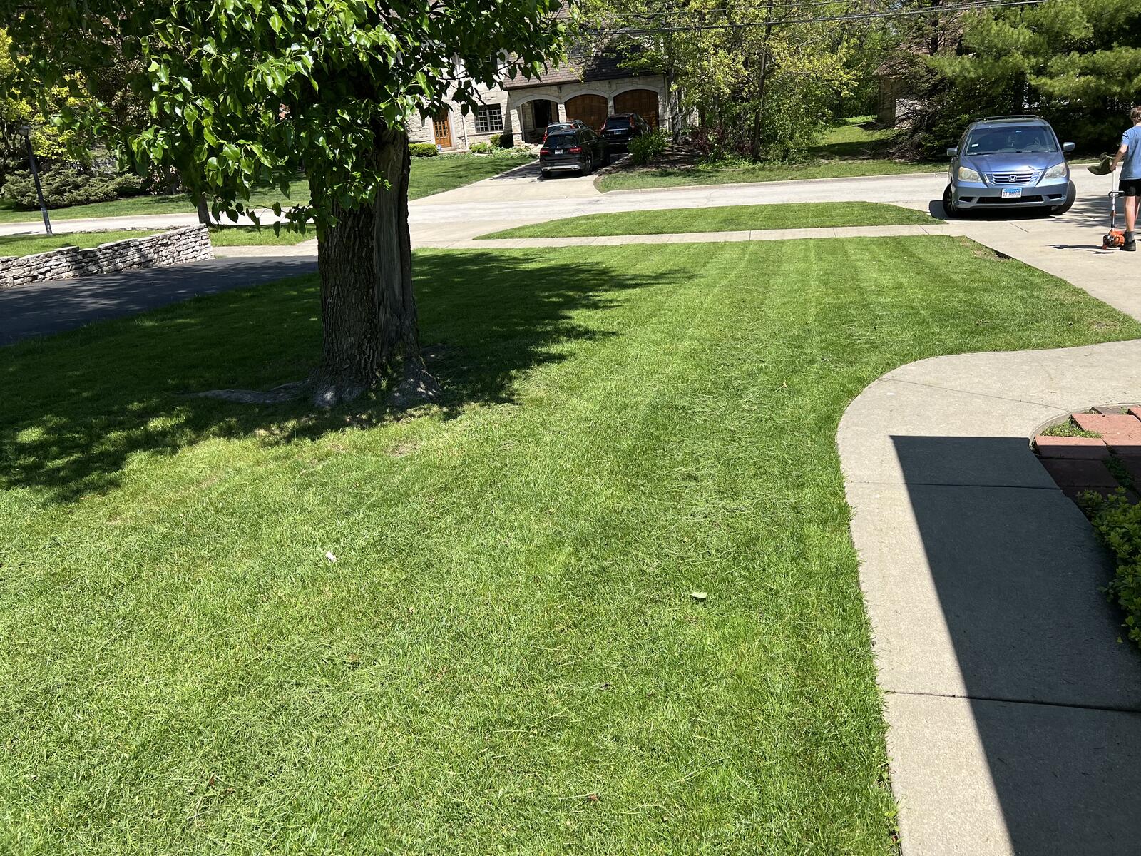 Front yard with fresh mowing stripes