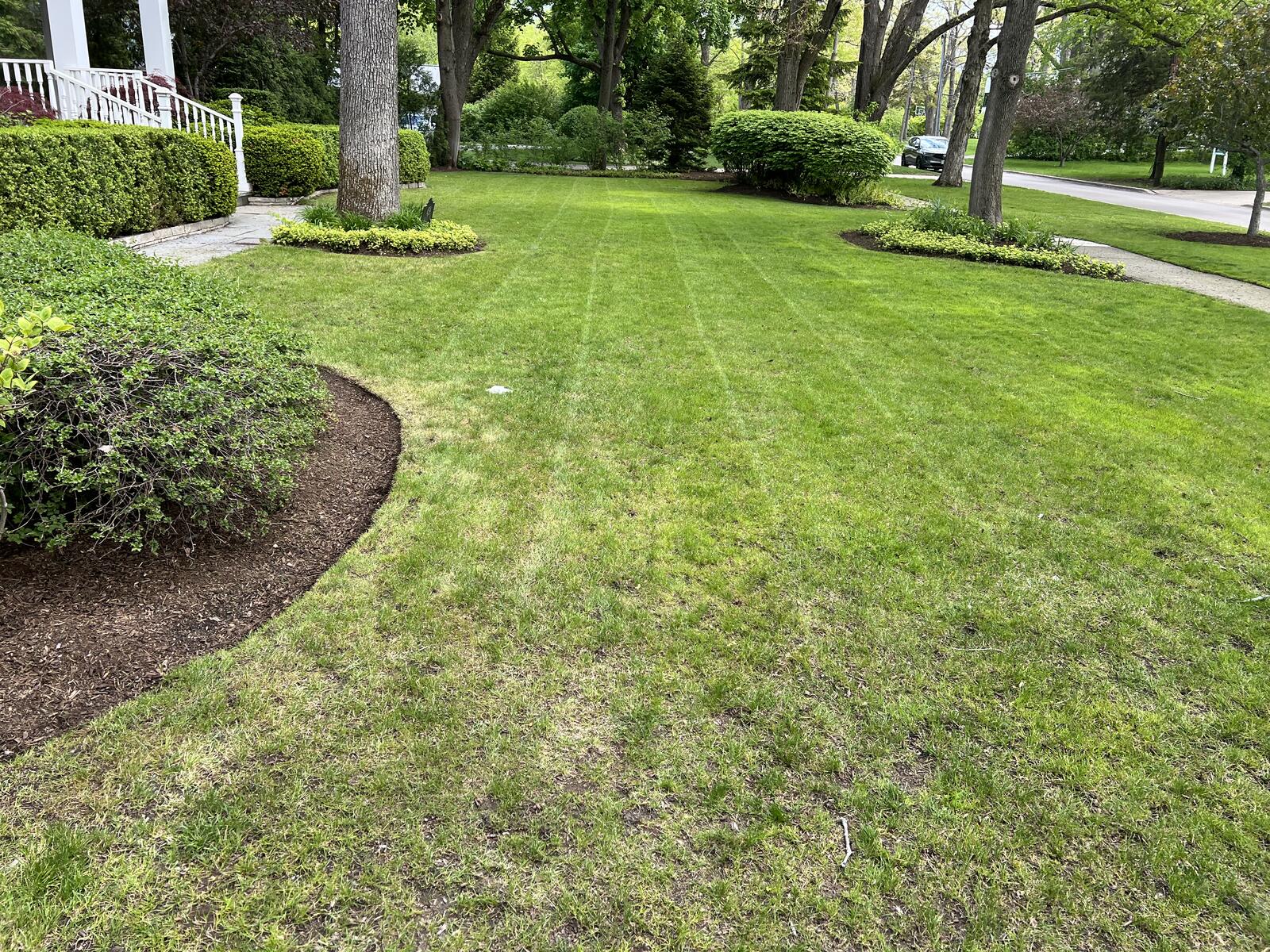 Landscaped yard maintained by MD Mowing