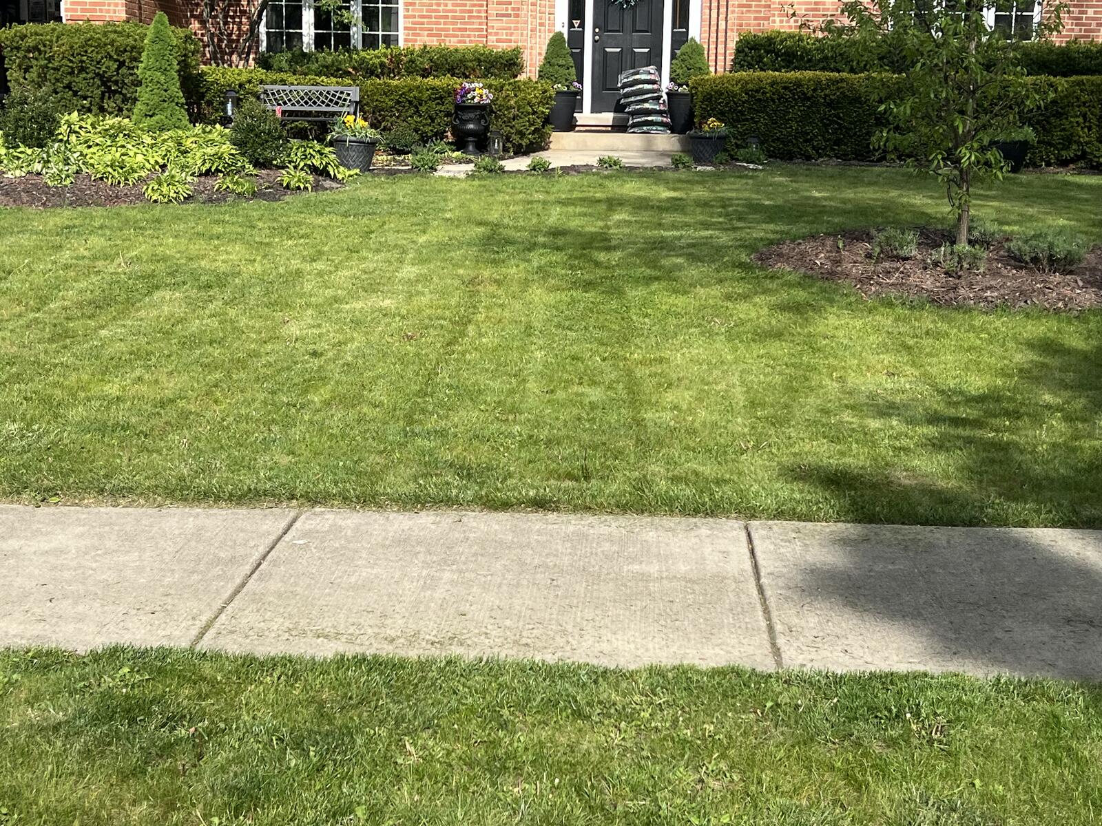 Front yard lawn maintenance